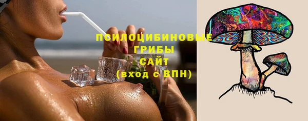 гидра Богданович