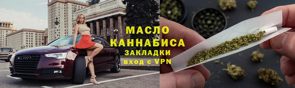 индика Богородицк