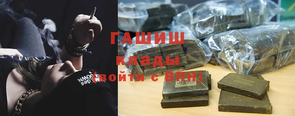 индика Богородицк