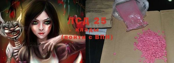 индика Богородицк