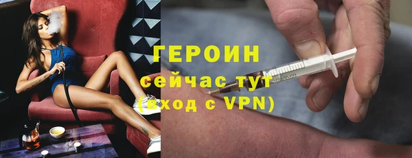 индика Богородицк