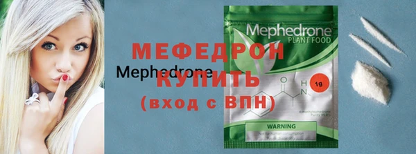 индика Богородицк