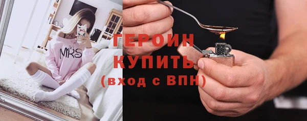 индика Богородицк