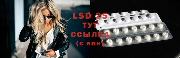 гидра Богданович
