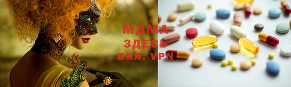 индика Богородицк