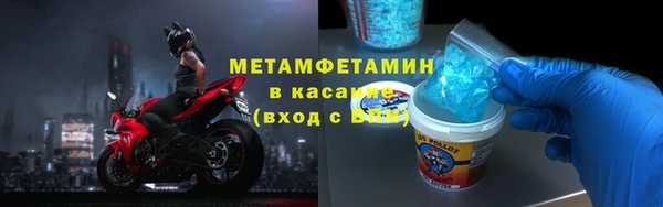 индика Богородицк