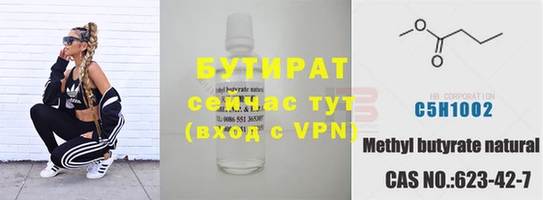 индика Богородицк