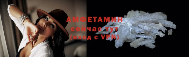 индика Богородицк