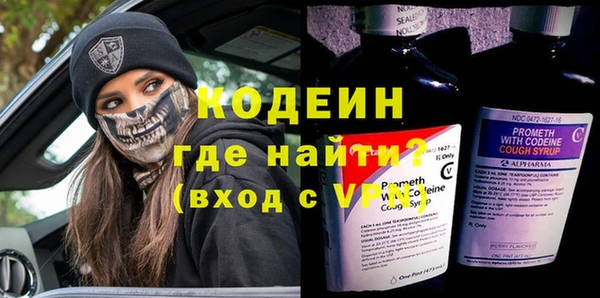 гидра Богданович