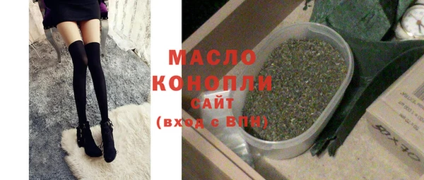индика Богородицк