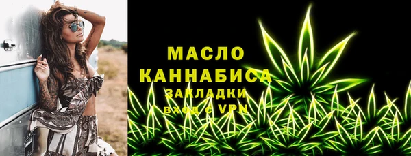 индика Богородицк