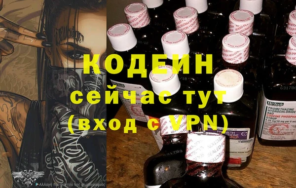 гидра Богданович