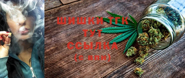 индика Богородицк