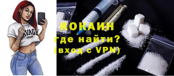 гидра Богданович