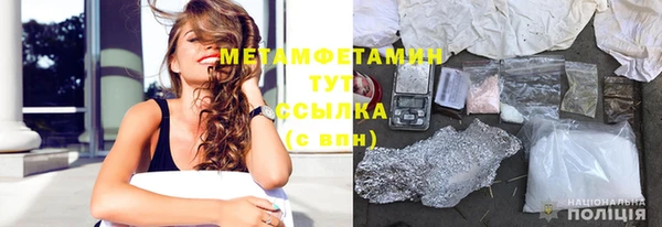 индика Богородицк