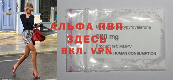 гидра Богданович