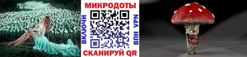 Галлюциногенные грибы Psilocybine cubensis  где продают   Комсомольск-на-Амуре 